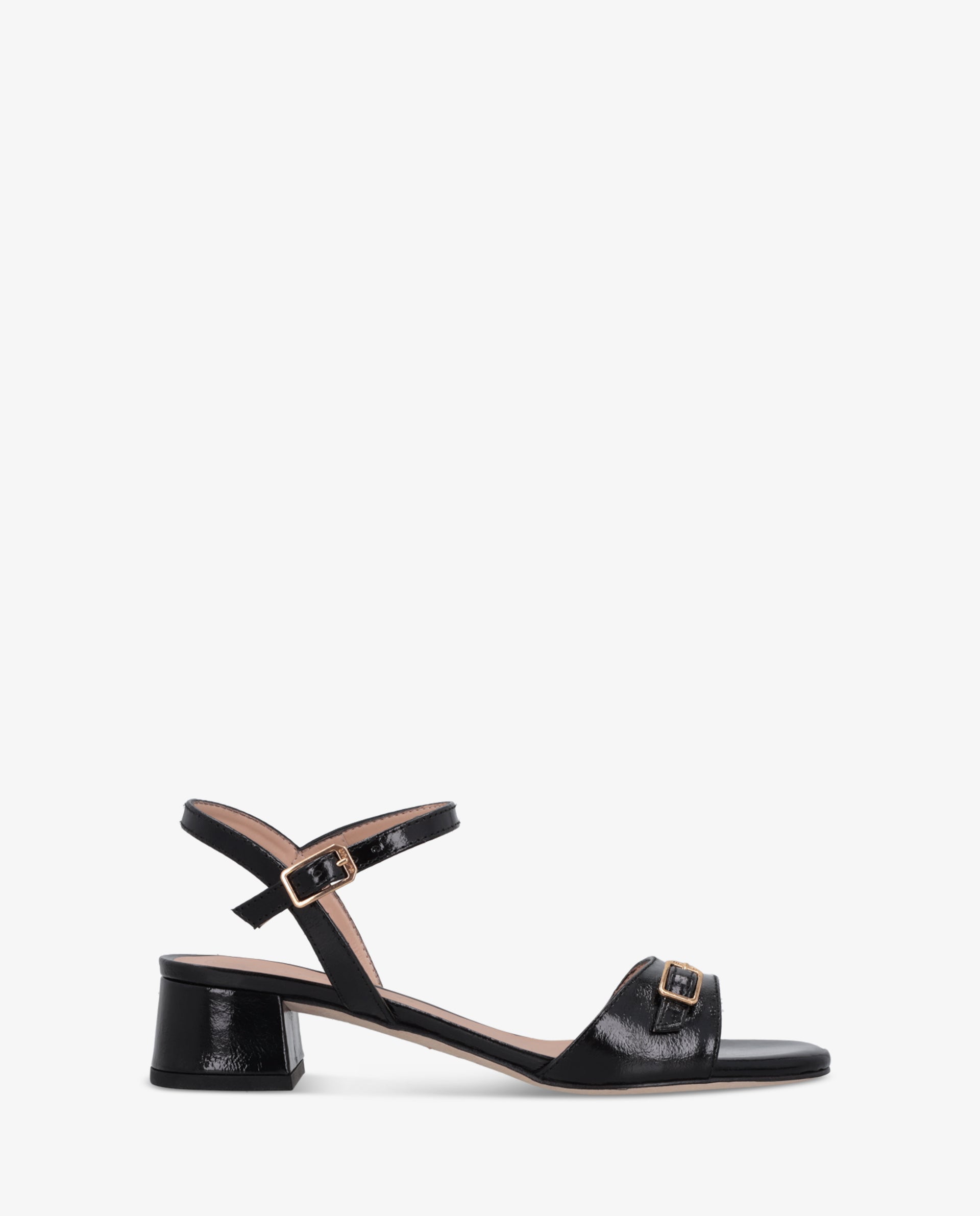 JOEY GIA BLACK