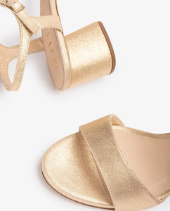 GENTO MTS GOLD